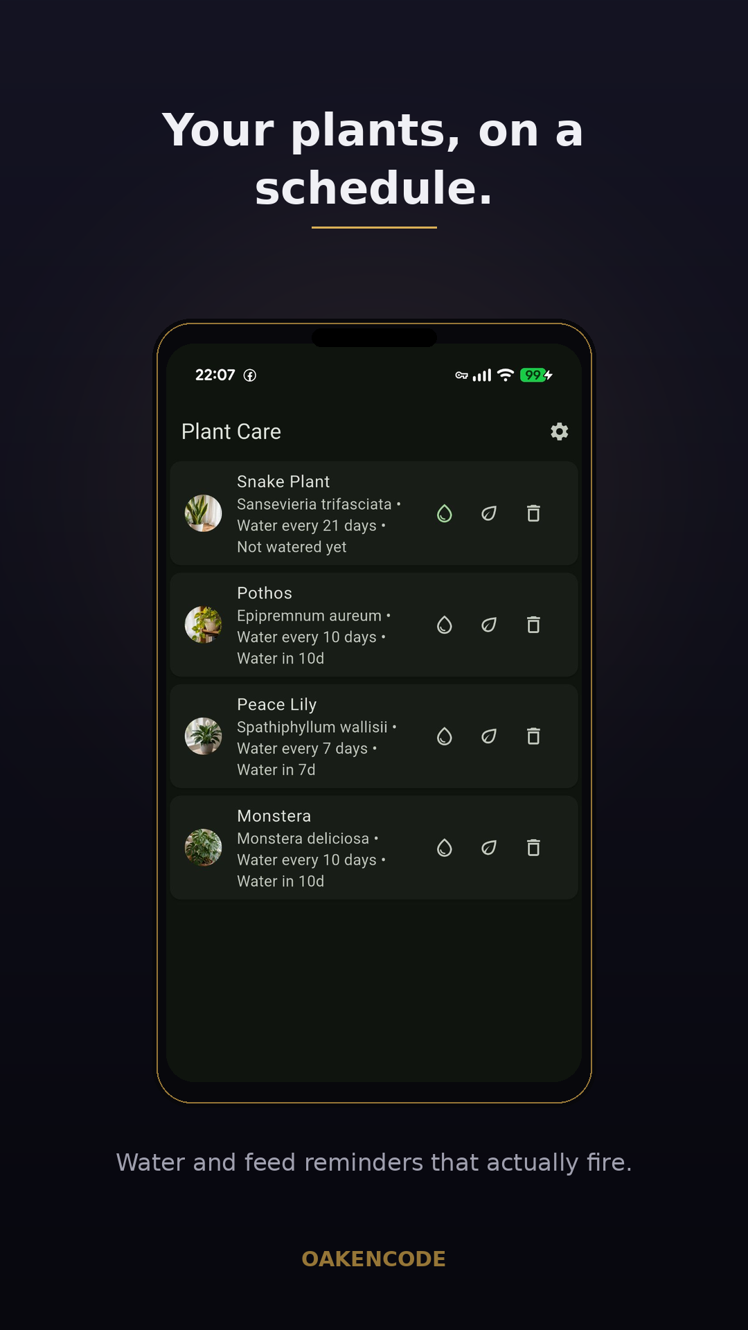 Your plants, on a schedule.